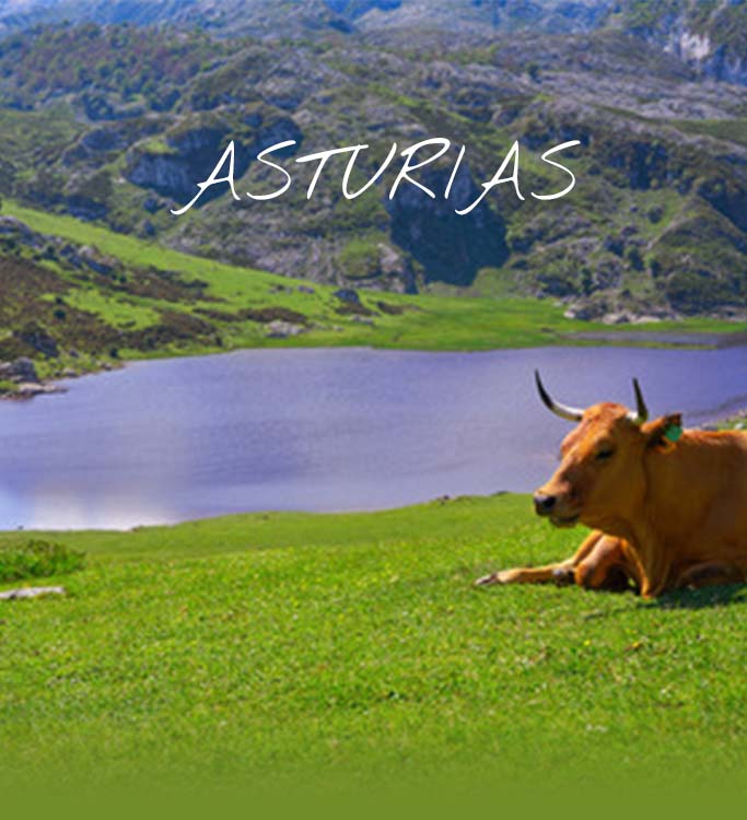 AsturiasREGIONES