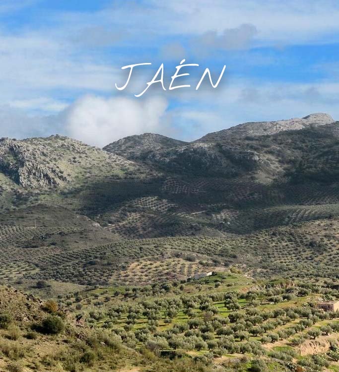 jaenREGIONES